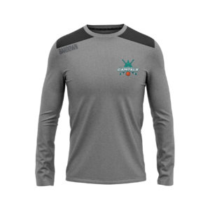 Capitals Performance Top