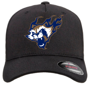 Bandits Hat
