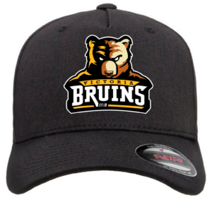 Bruins Hat