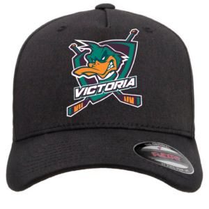 Ducks Hat