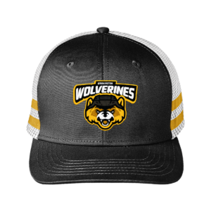 Wolverines Hat