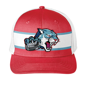 BD Wildcats 2025 Elite Snipe Hat