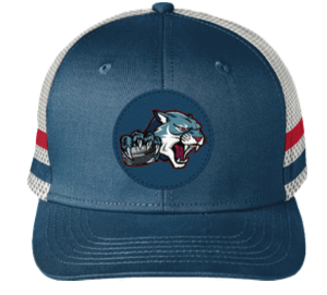 BD Wildcats Hat