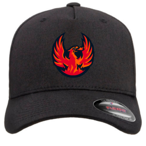 Hot Wings Hat