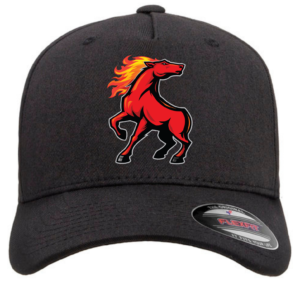 Colts Hat