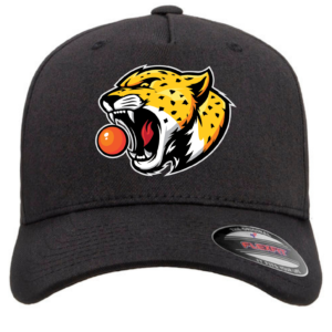 Jaguars Hat